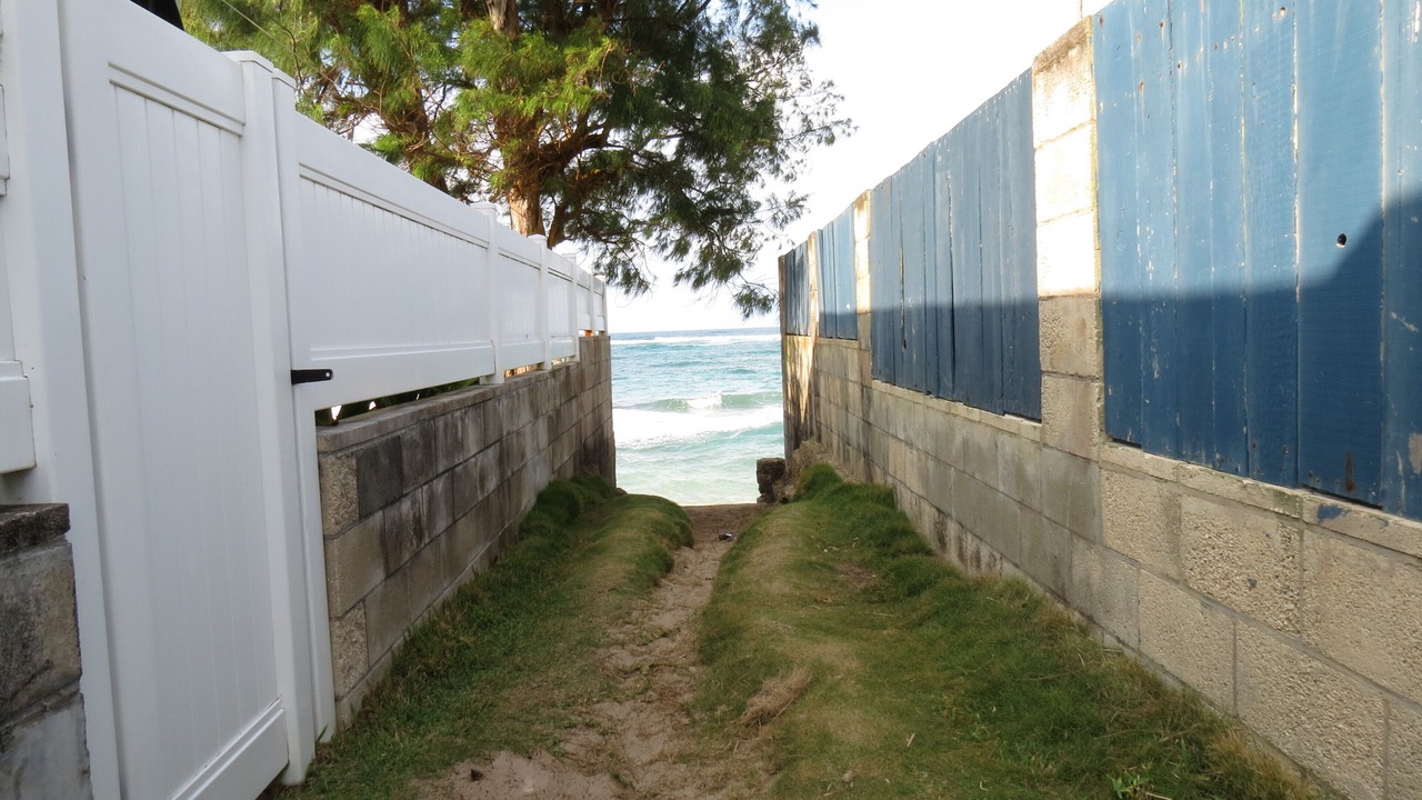 Photo of Outdoor in Laie
