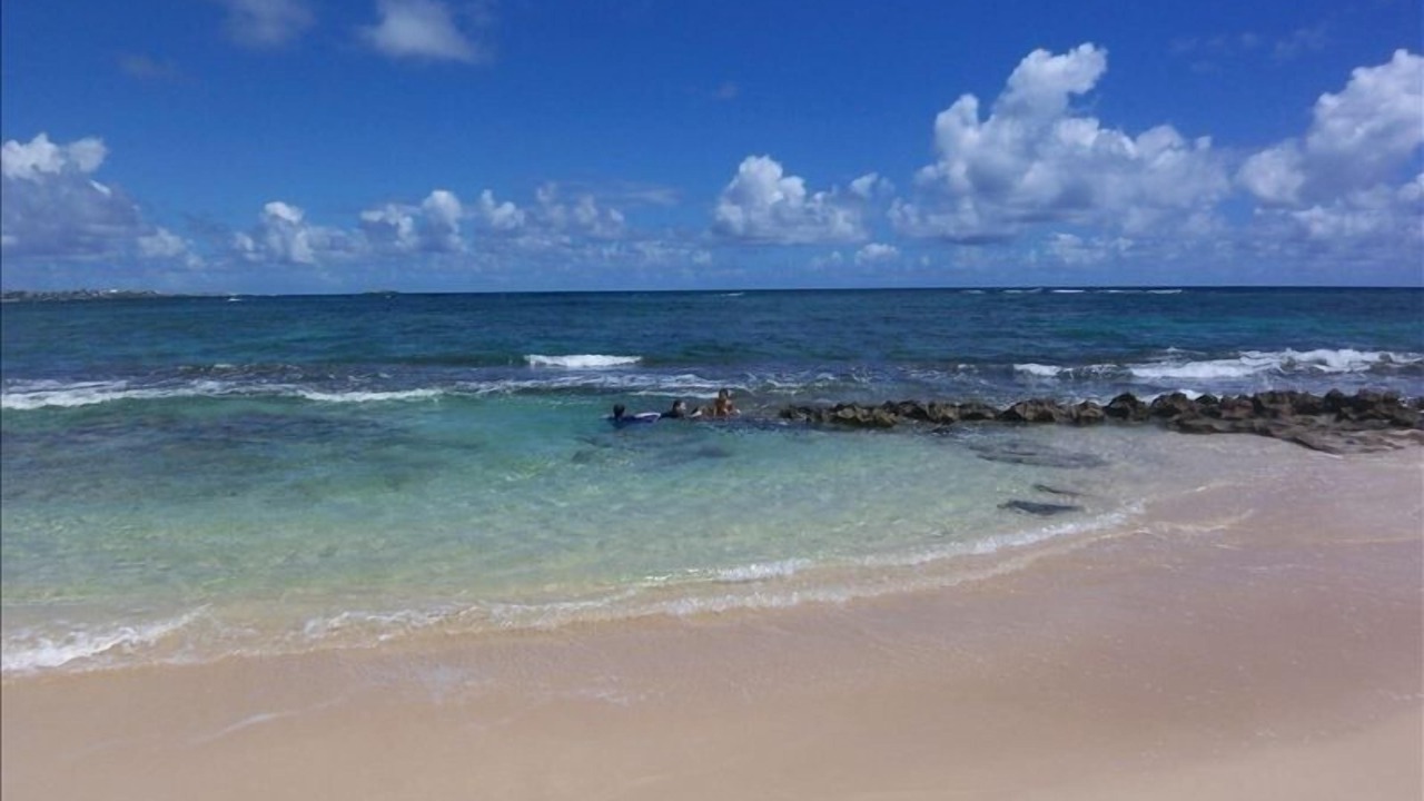 Photo of Others in Laie