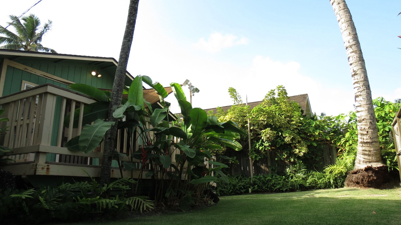 Photo of Outdoor in Laie