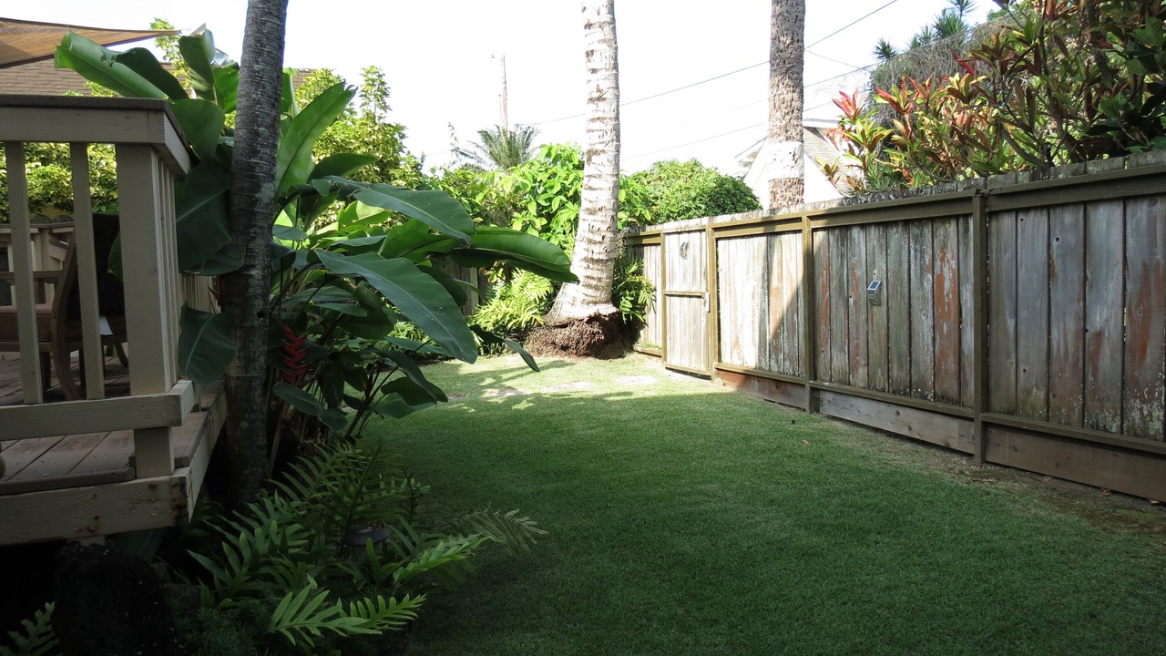 Photo of Outdoor in Laie
