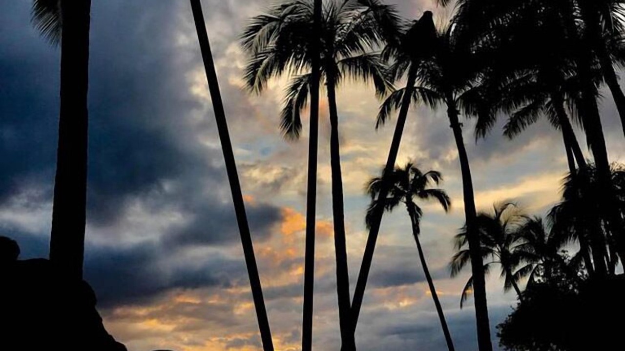 Photo of Others in Diamond Head - Kapahulu - St. Louis
