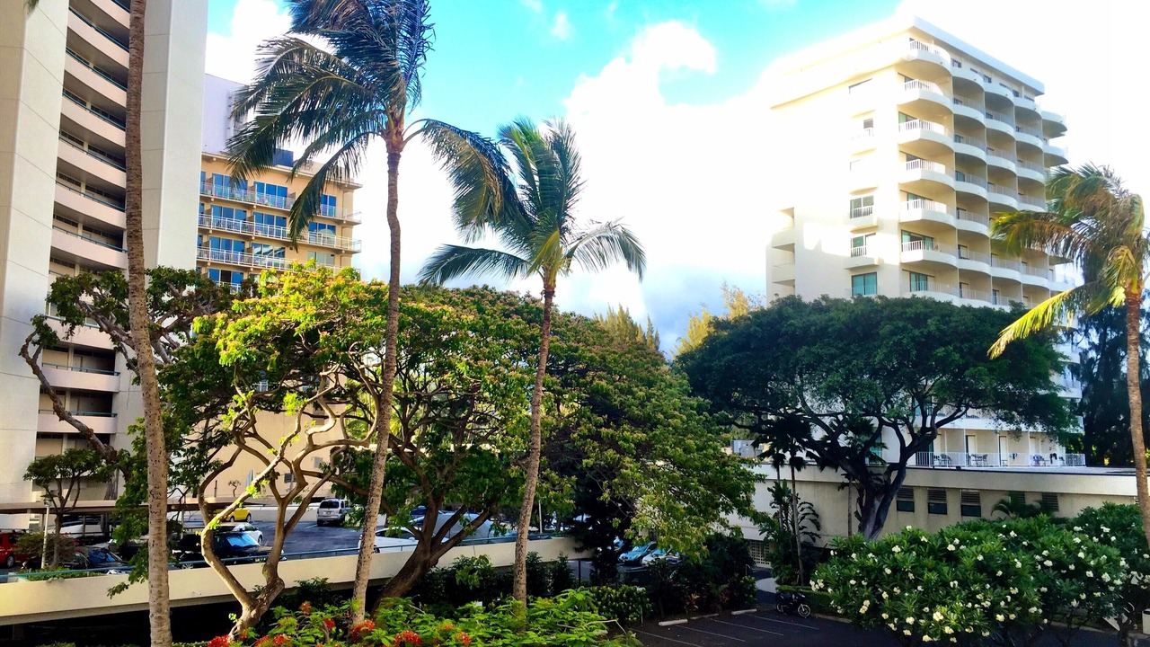 Photo of Others in Diamond Head - Kapahulu - St. Louis