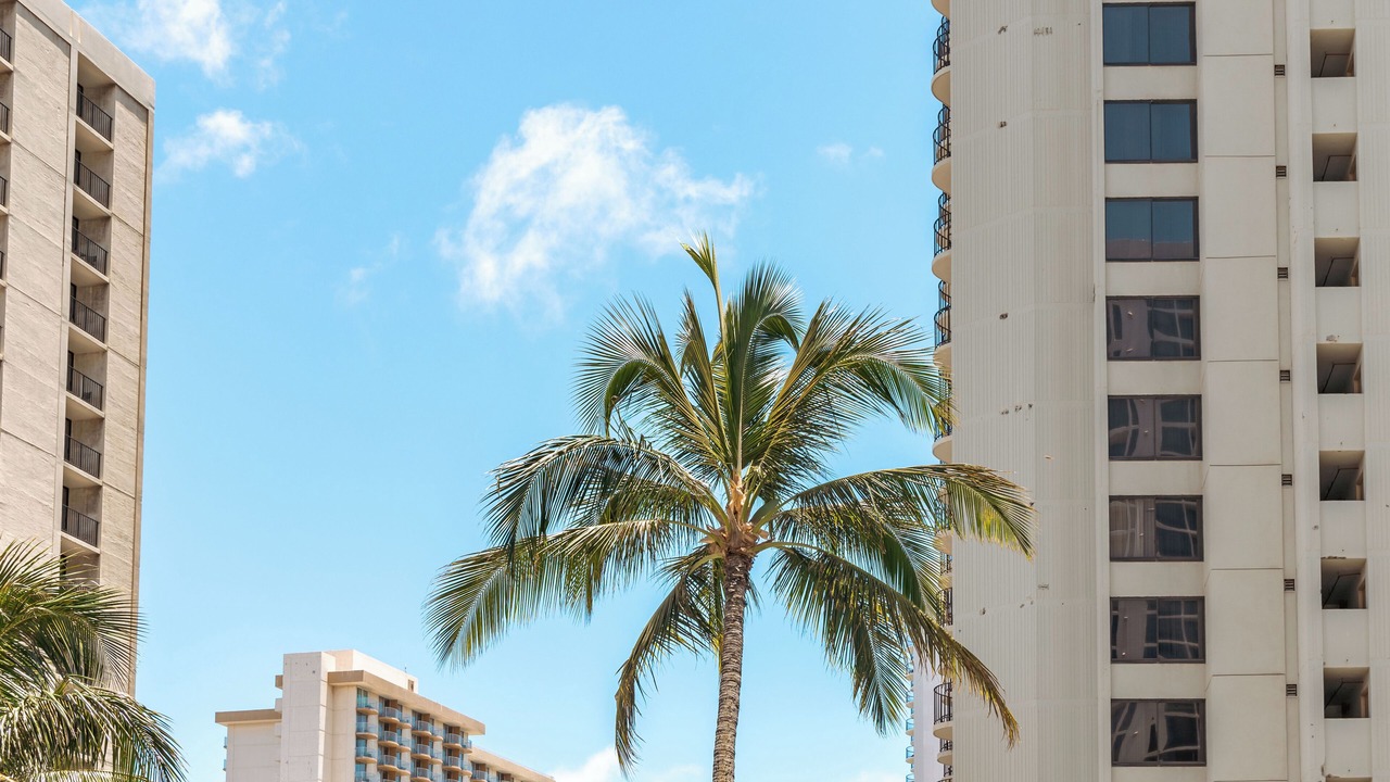 Photo of Others in Waikiki
