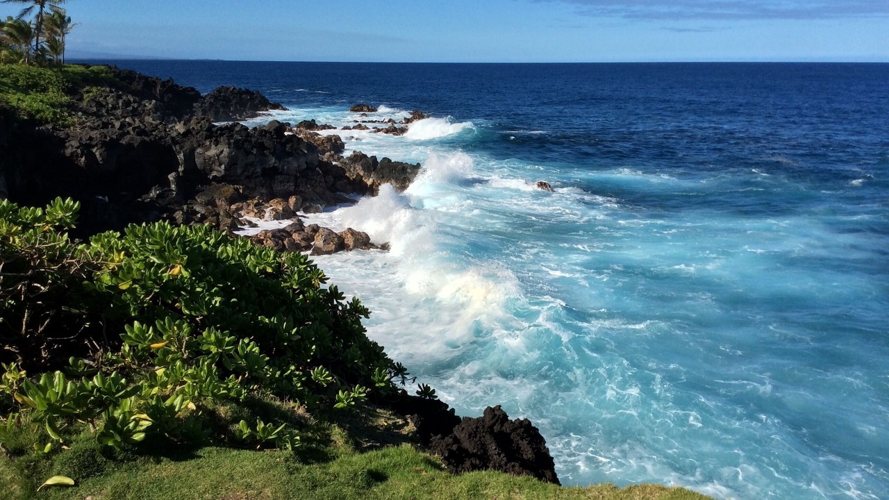 Photo of Others in Kapoho