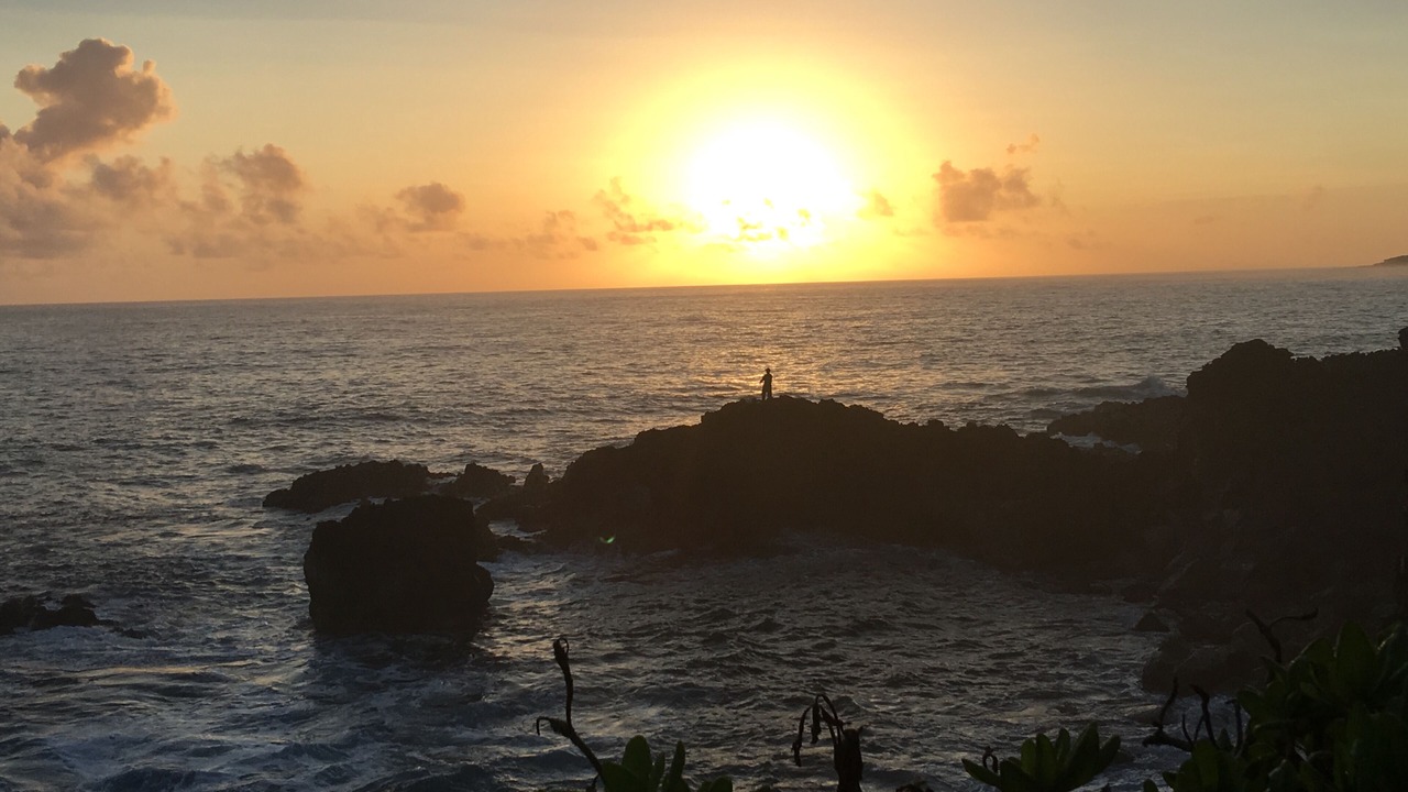 Photo of Others in Kapoho