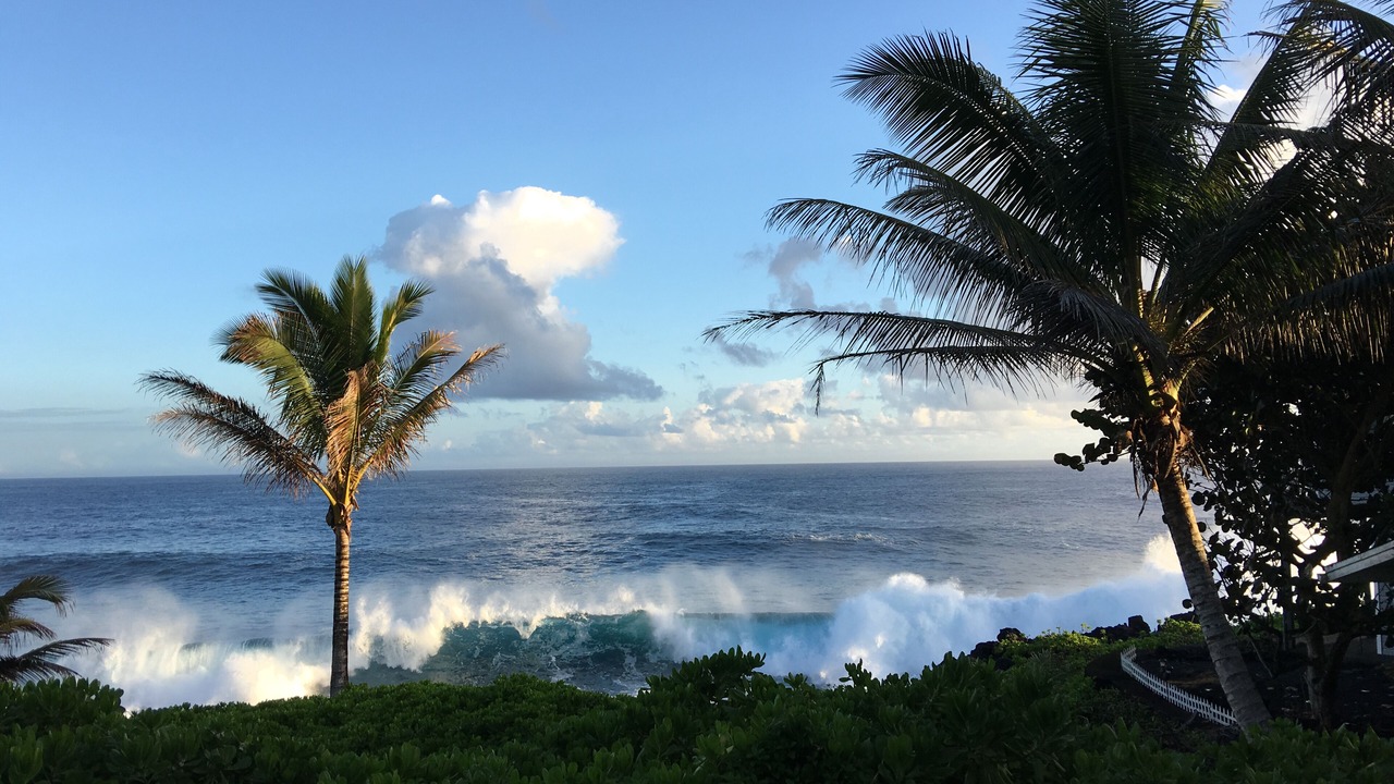 Photo of Others in Kapoho