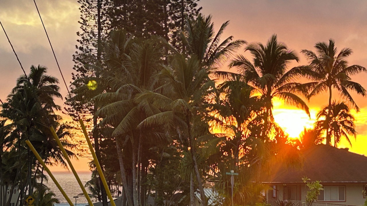 Photo of Others in Kapoho