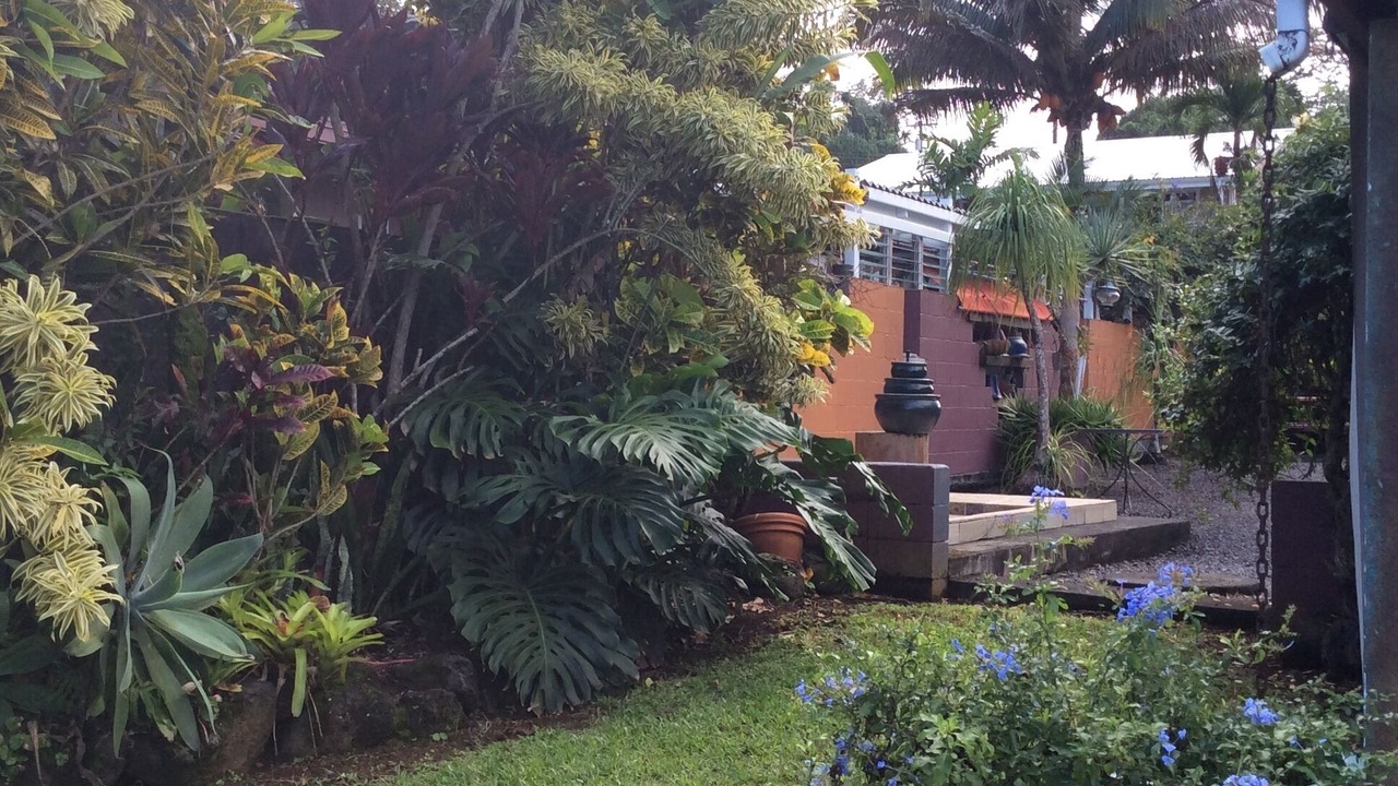 Photo of Outdoor in Kapoho
