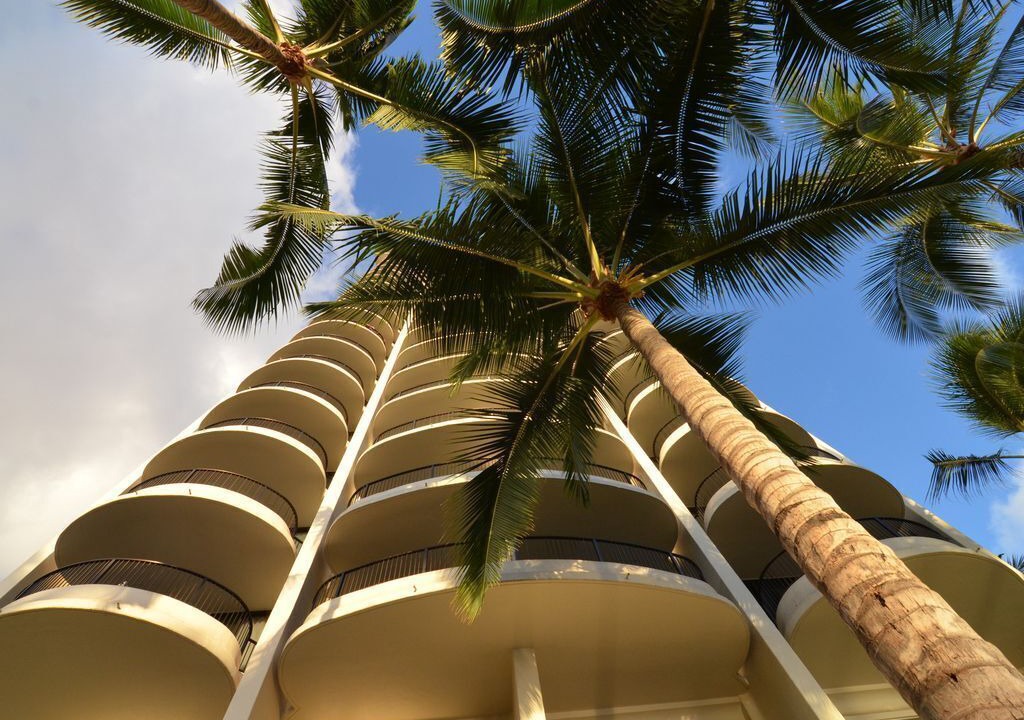 Photo of Outdoor in Waikiki