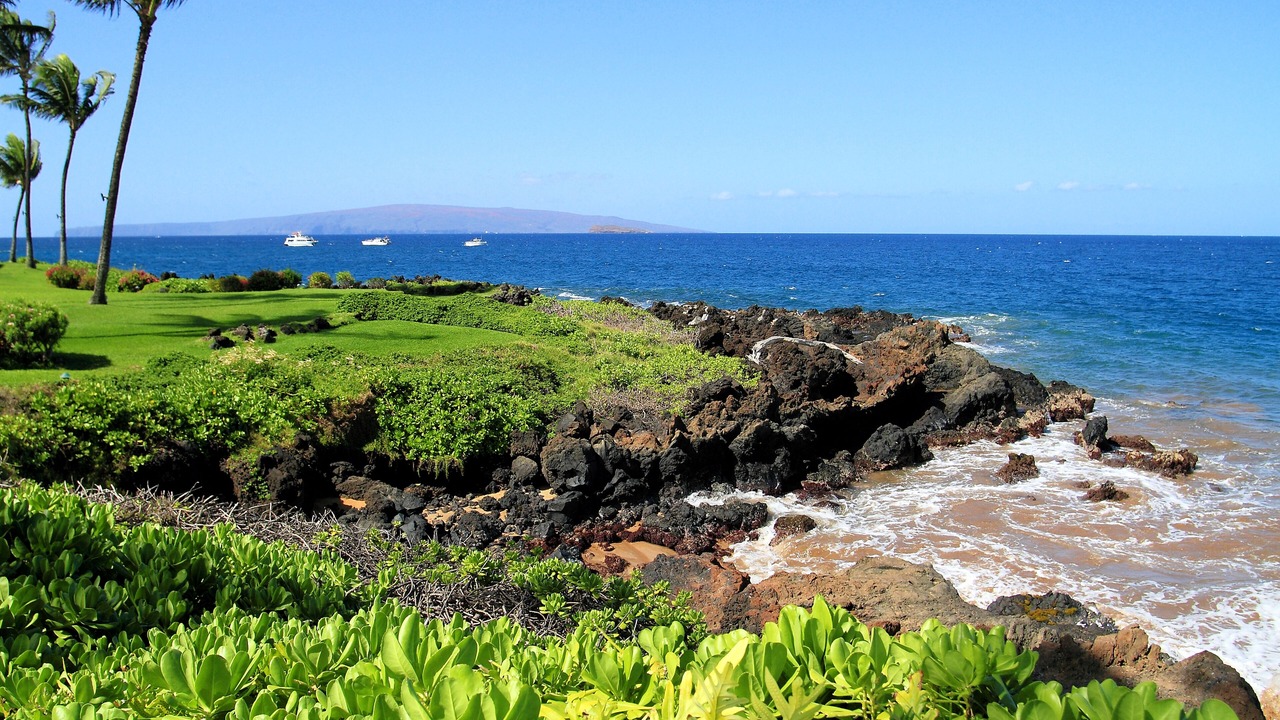 Photo of Others in Wailea