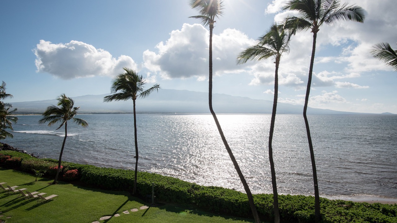 Photo of Others in Maalaea