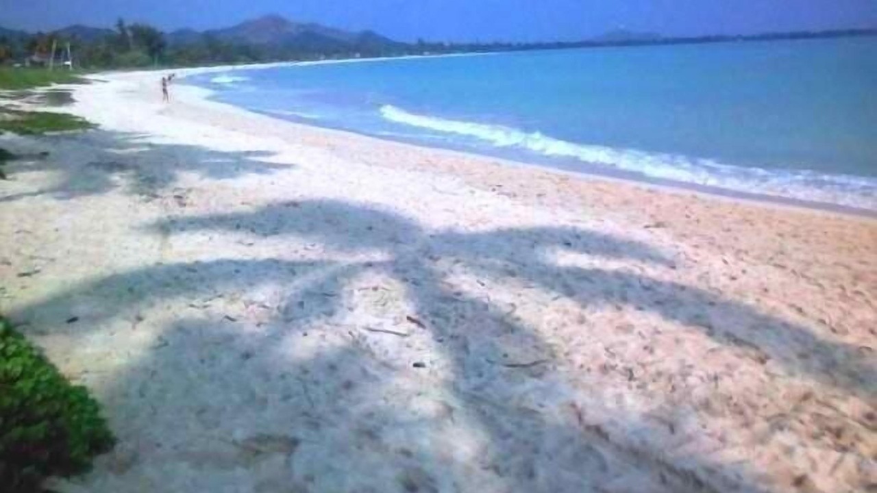 Photo of Others in Kailua
