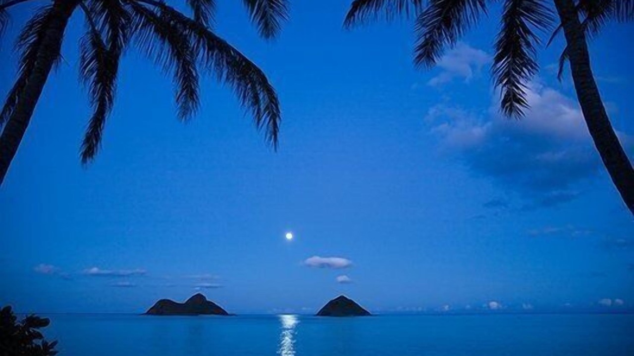 Photo of Others in Kailua