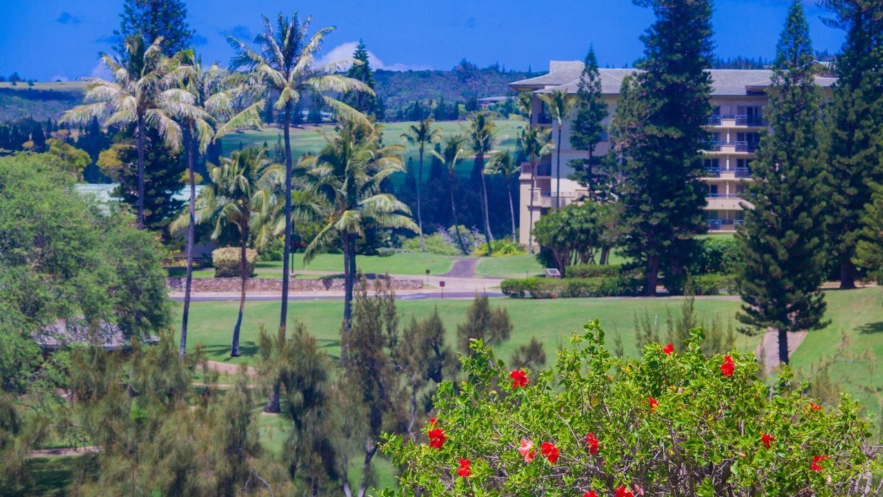 Photo of Others in Kapalua