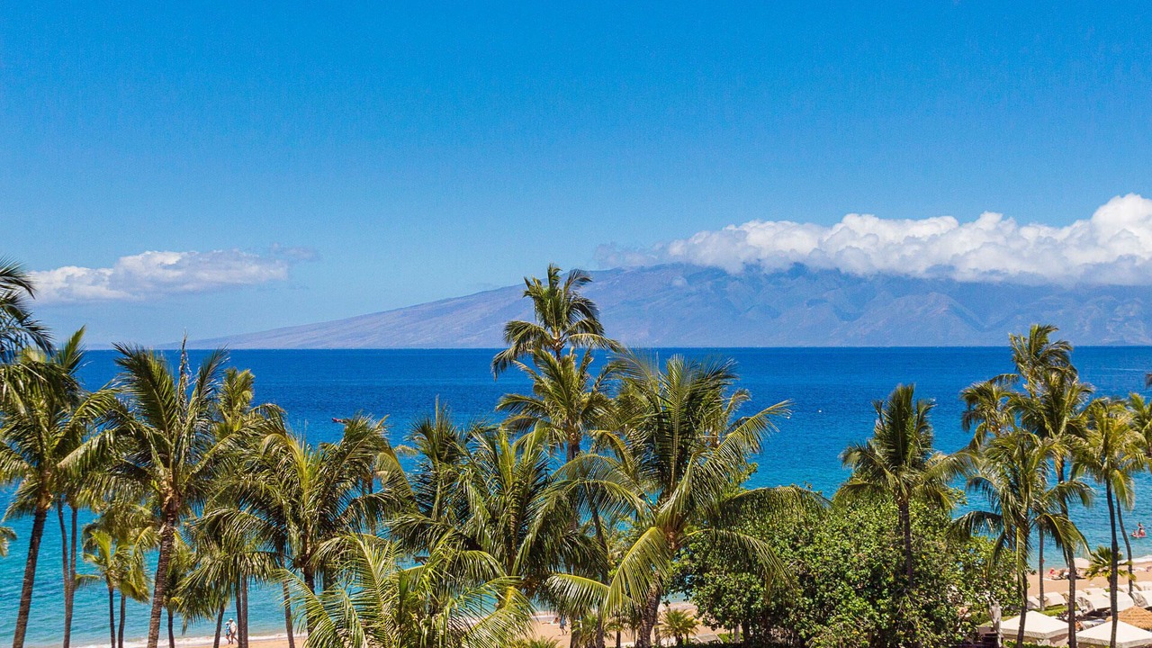 Photo of Others in Kaanapali