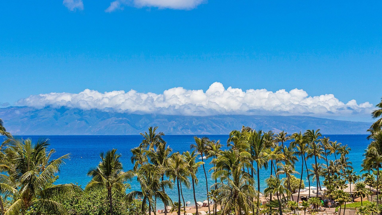 Photo of Others in Kaanapali
