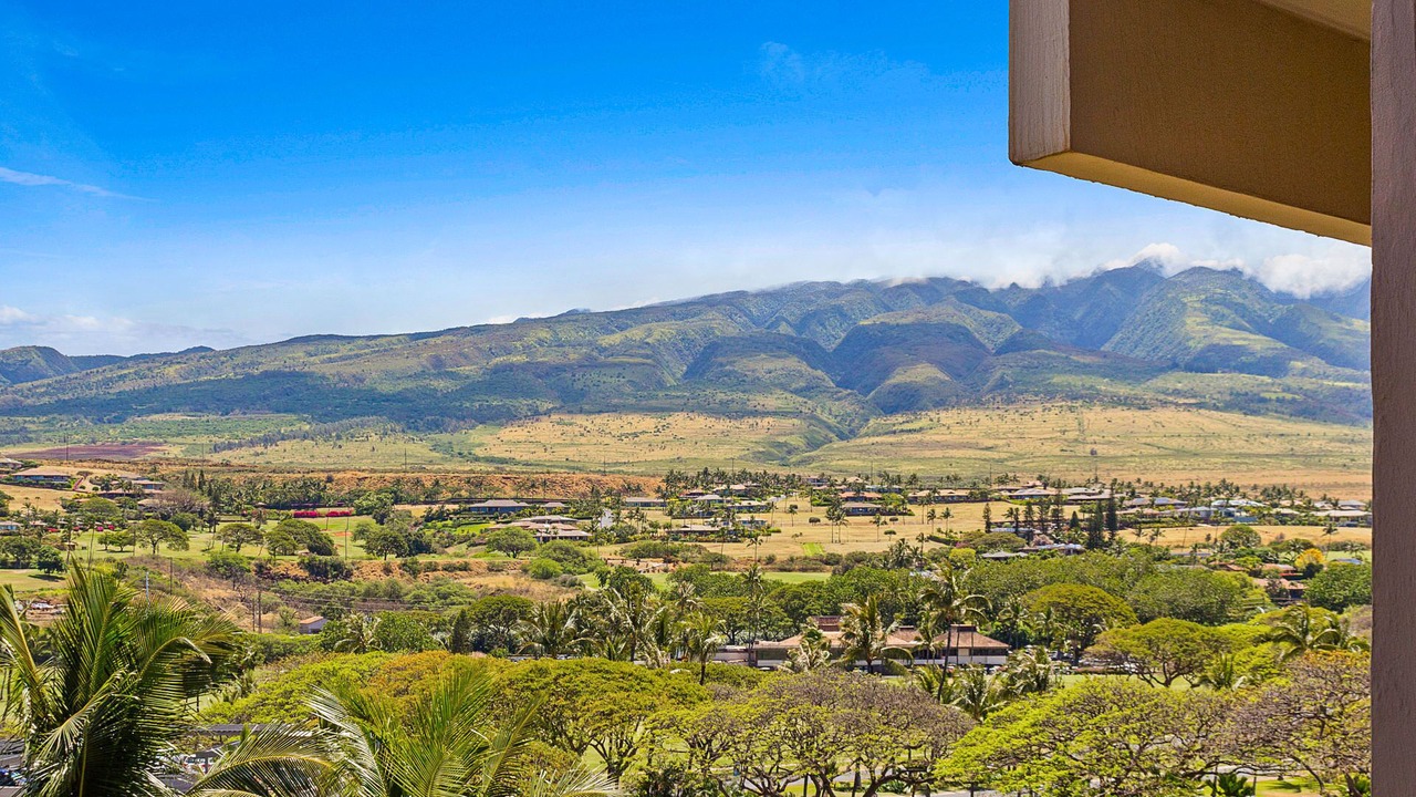 Photo of Others in Kaanapali