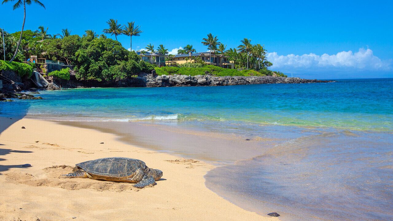 Photo of Others in Kahana