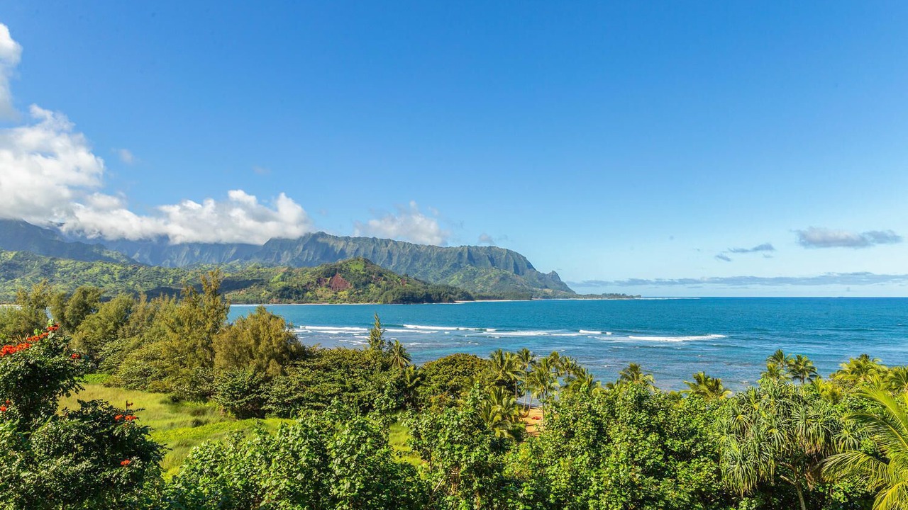 Photo of Others in Princeville