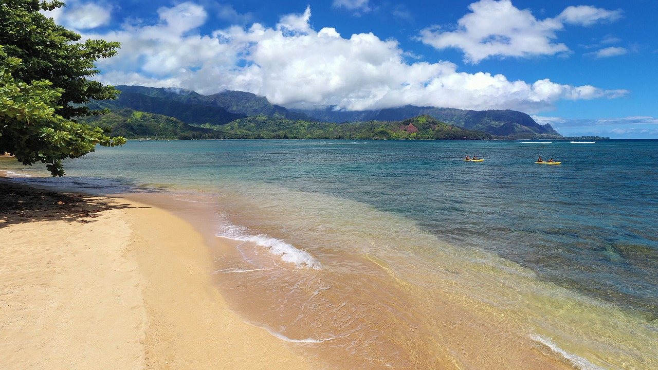 Photo of Others in Princeville