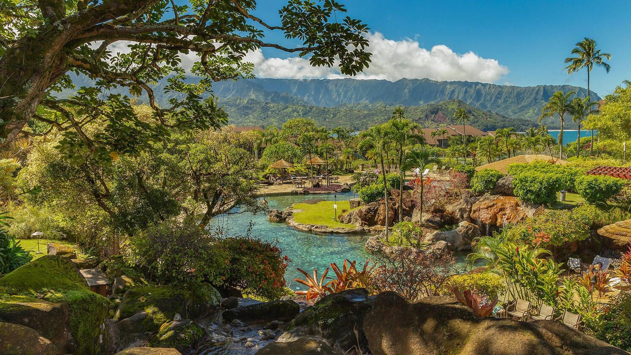 Photo of Others in Princeville