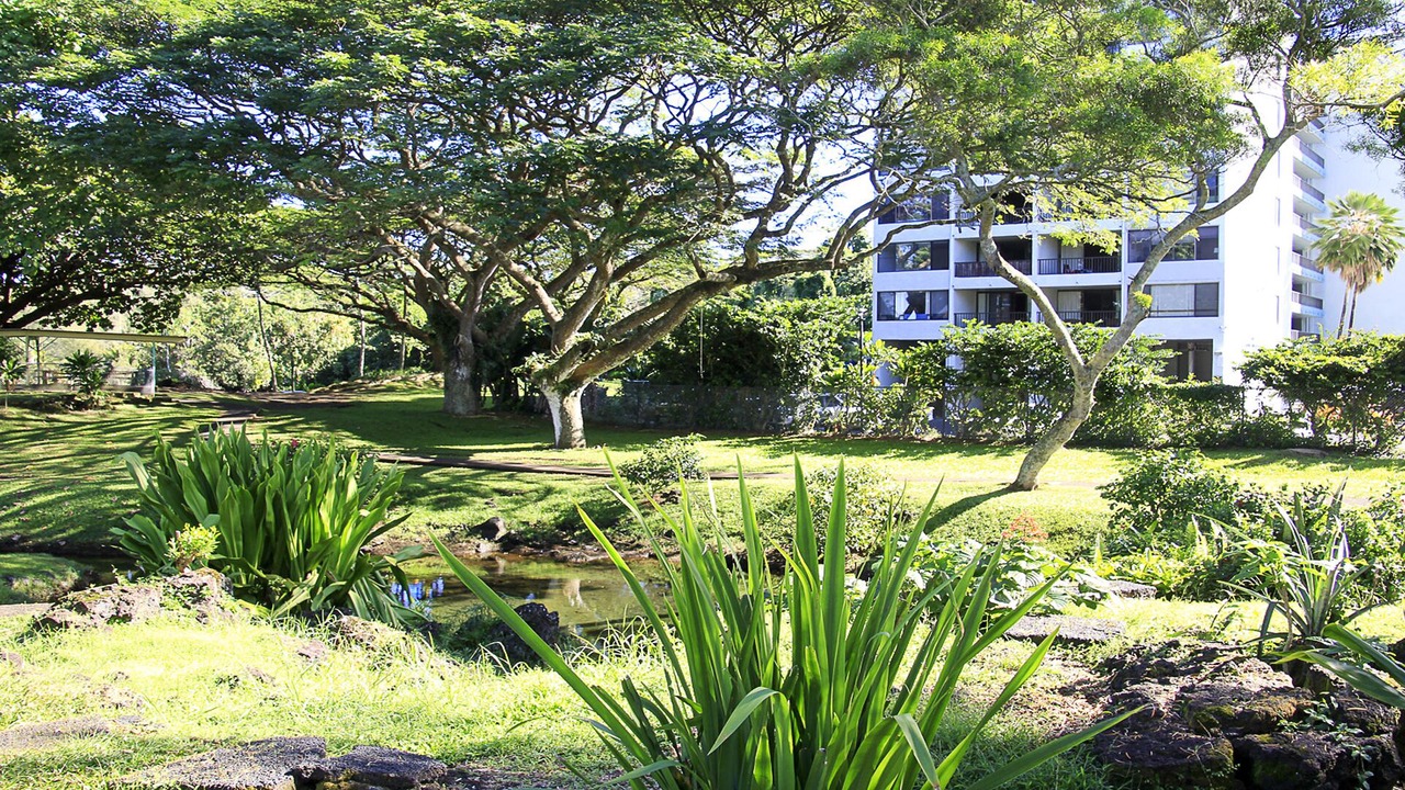 Photo of Others in Hilo