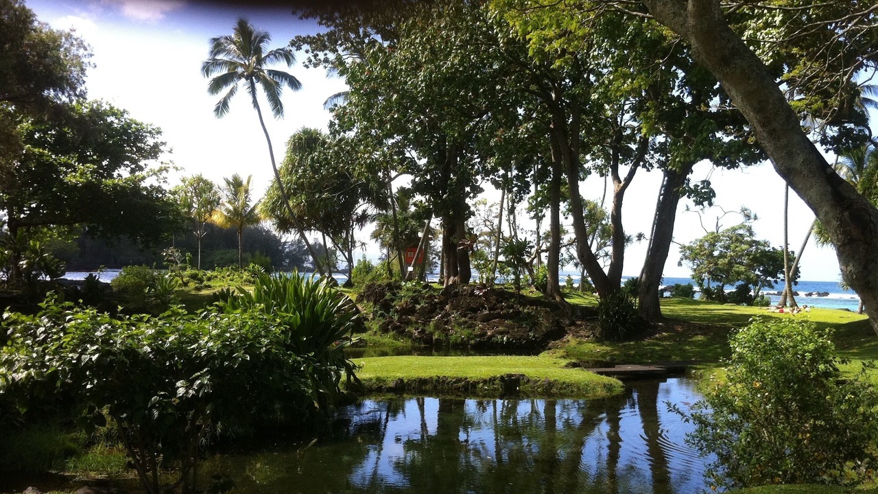 Photo of Outdoor in Hilo