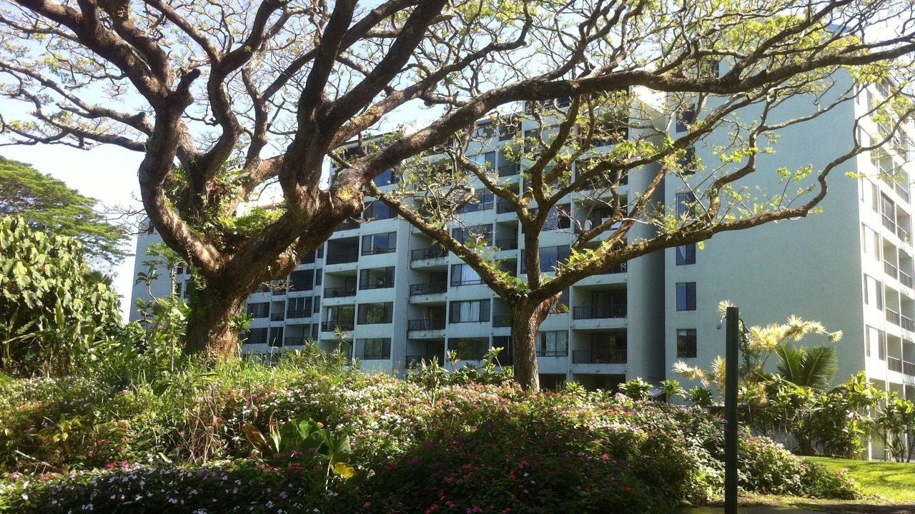 Photo of Outdoor in Hilo
