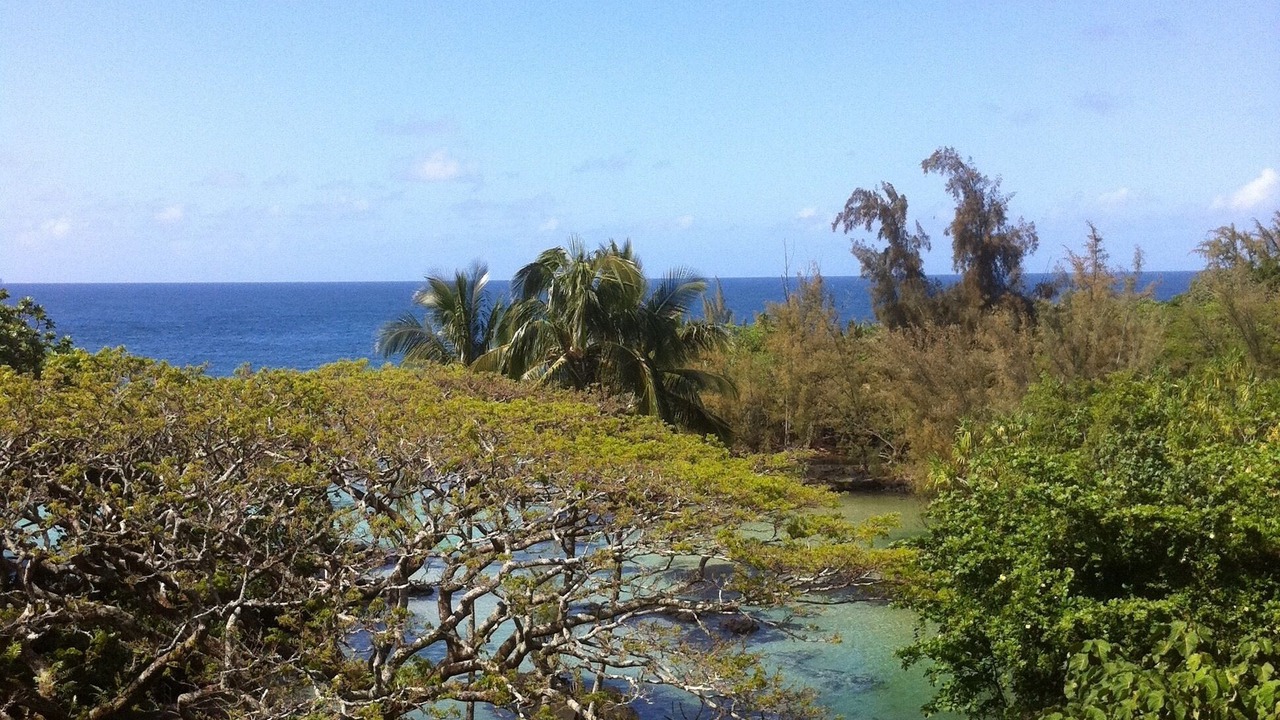 Photo of Outdoor in Hilo