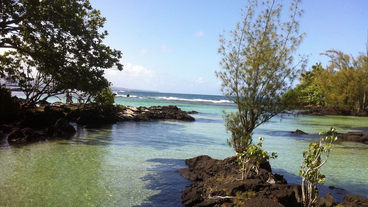 Photo of Others in Hilo
