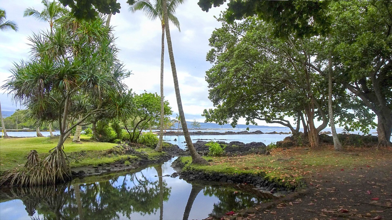 Photo of Outdoor in Hilo