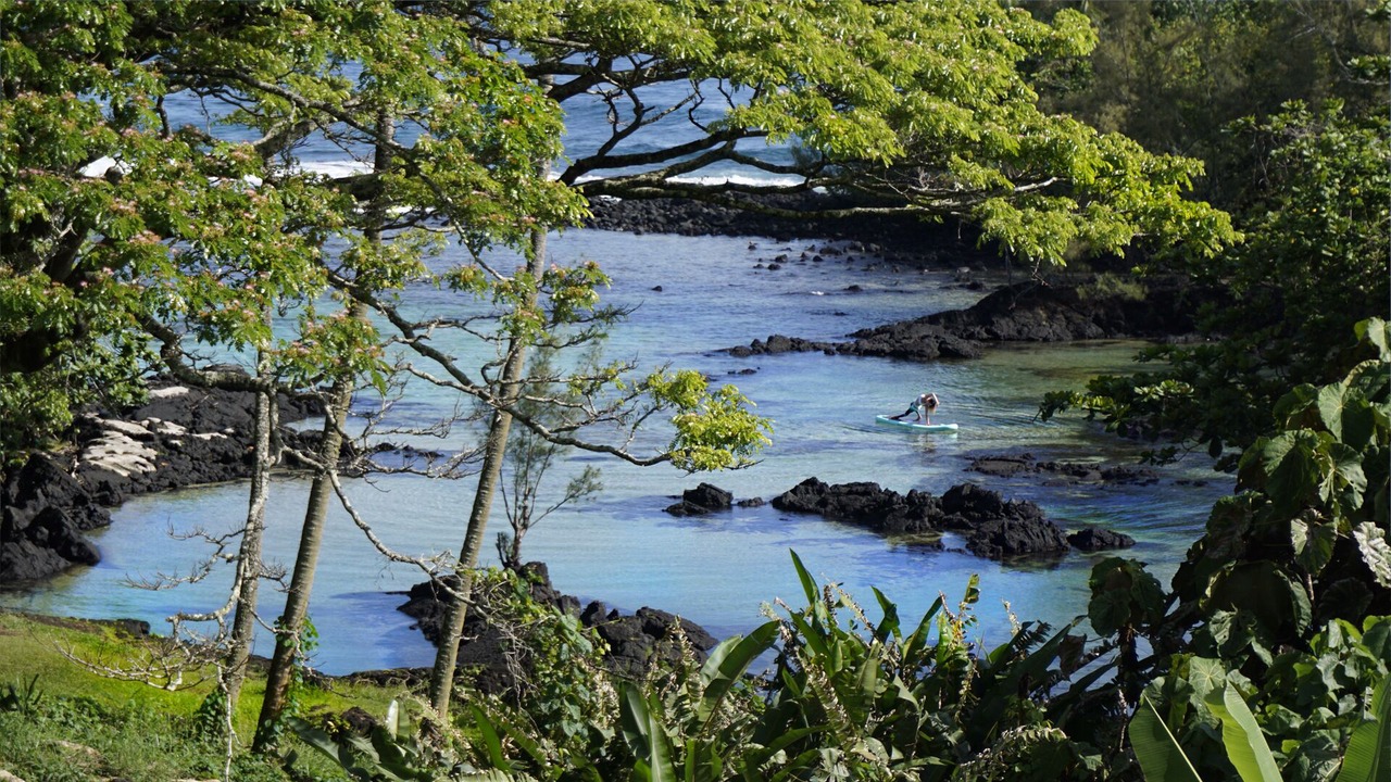 Photo of Outdoor in Hilo