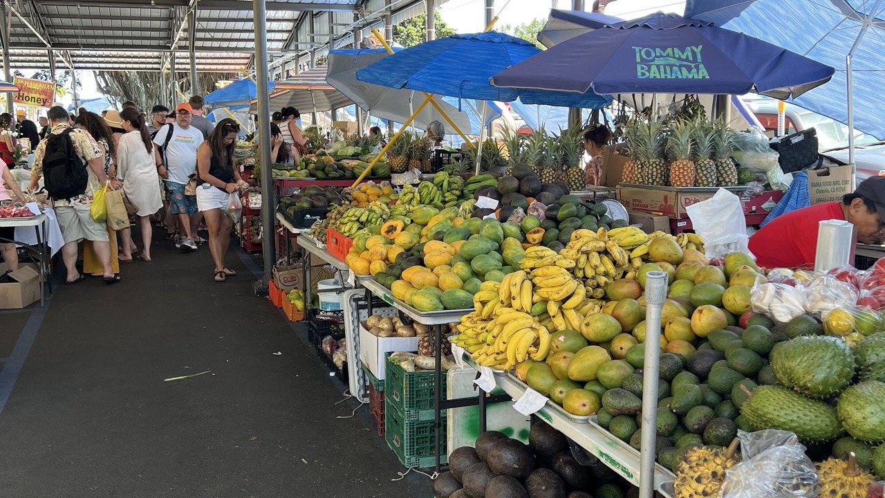 Photo of Others in Hilo