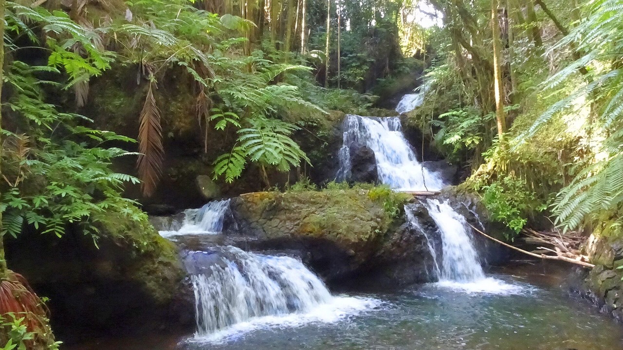 Photo of Others in Hilo