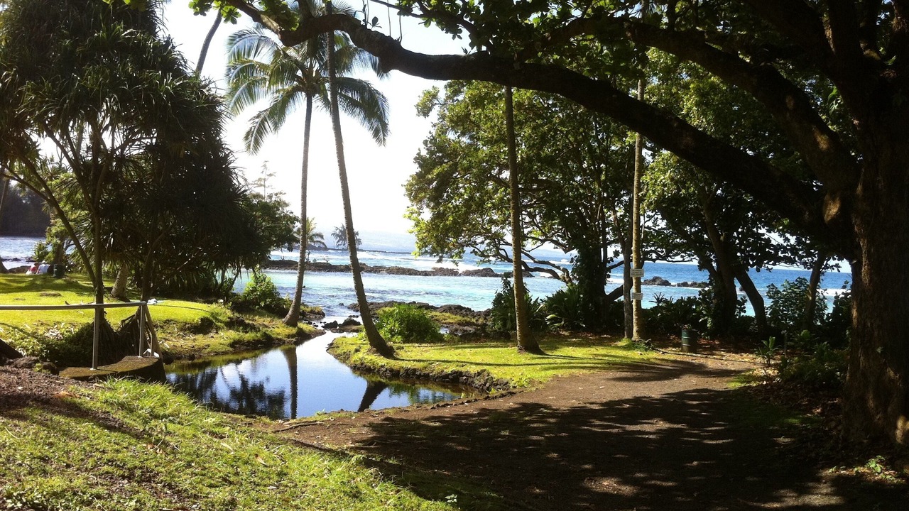 Photo of Outdoor in Hilo
