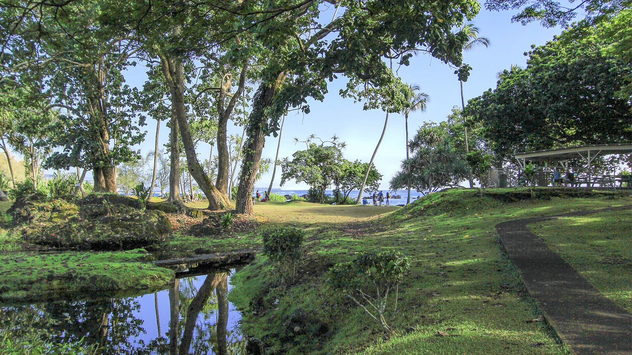 Photo of Others in Hilo
