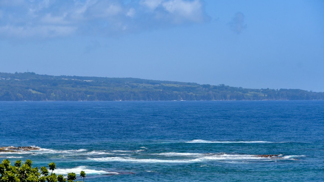 Photo of Others in Hilo