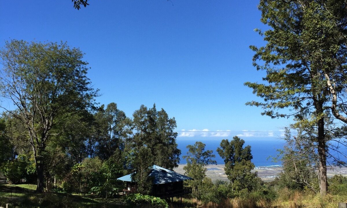 Photo of Others in Holualoa