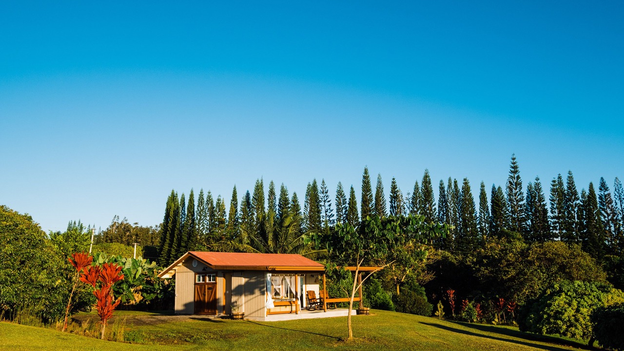 Photo of Outdoor in Hakalau