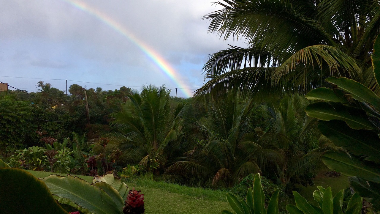 Photo of Others in Pupukea