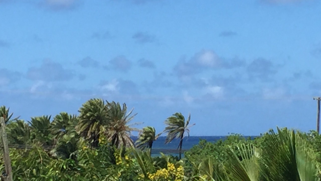 Photo of Others in Pupukea