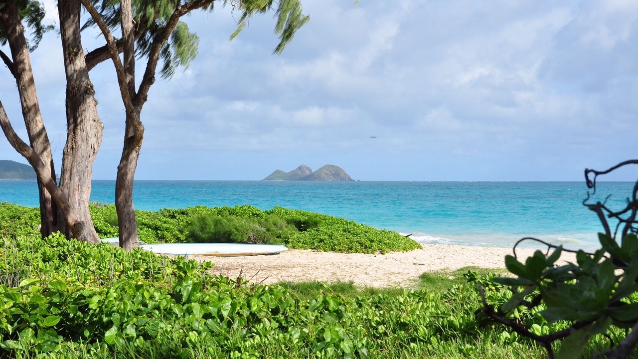 Photo of Others in Waimanalo