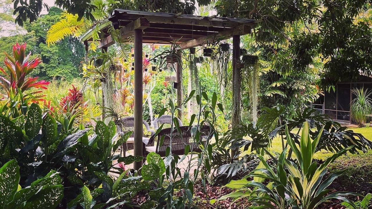 Photo of Outdoor in Hilo