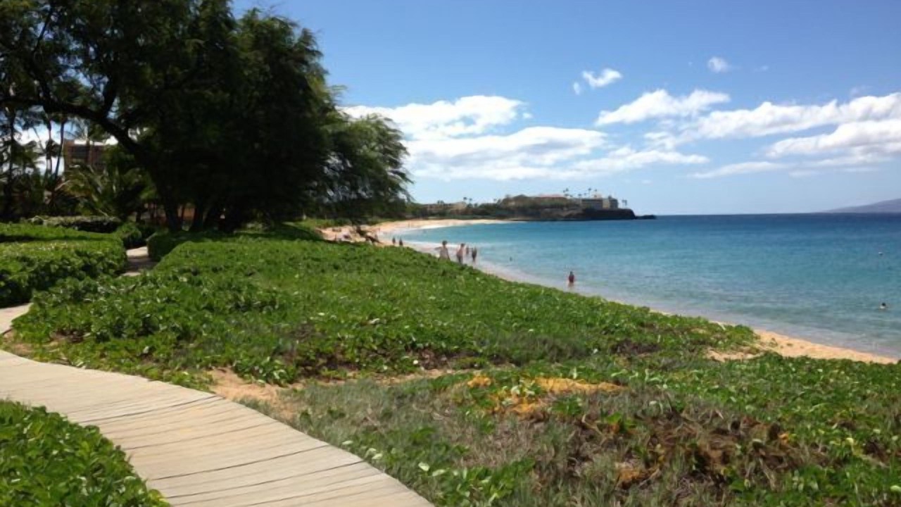 Photo of Others in Kaanapali