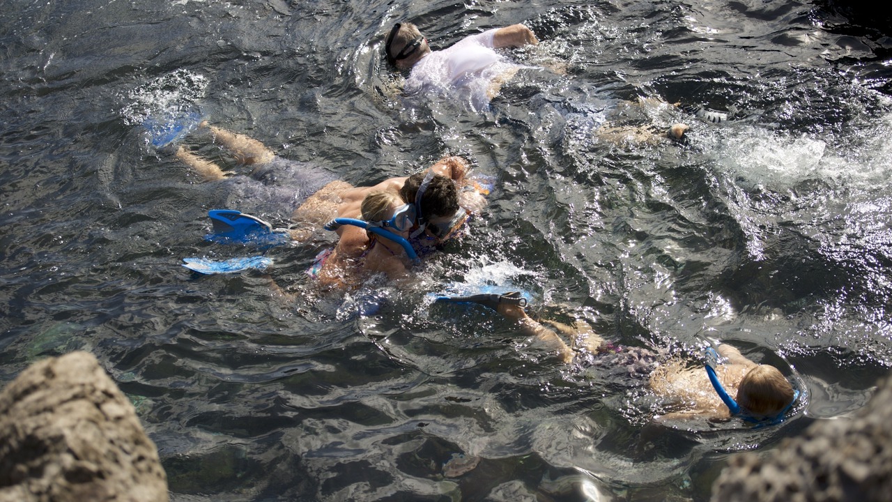 Photo of Others in Napili