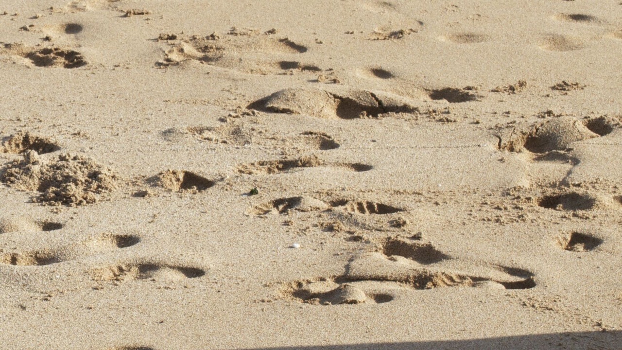 Photo of Others in Napili