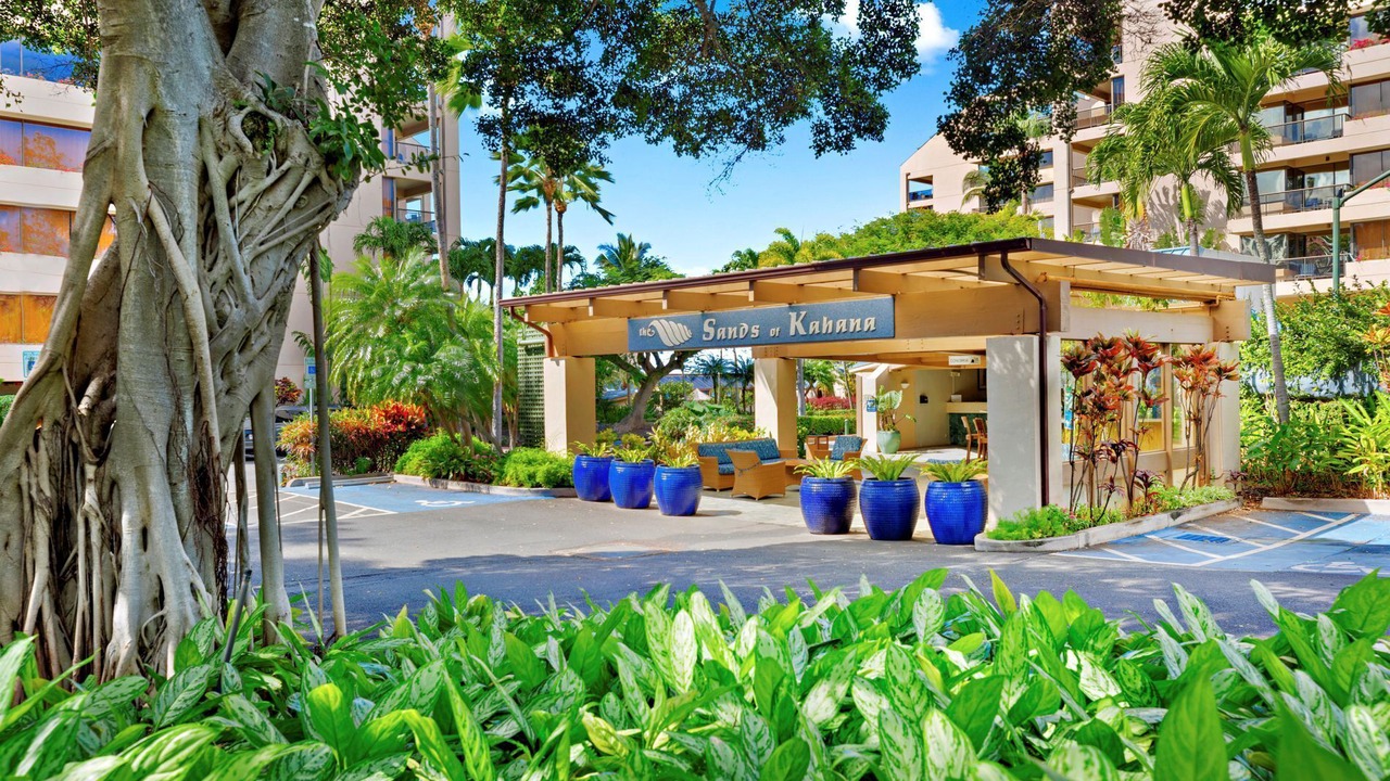 Photo of Outdoor in Kahana