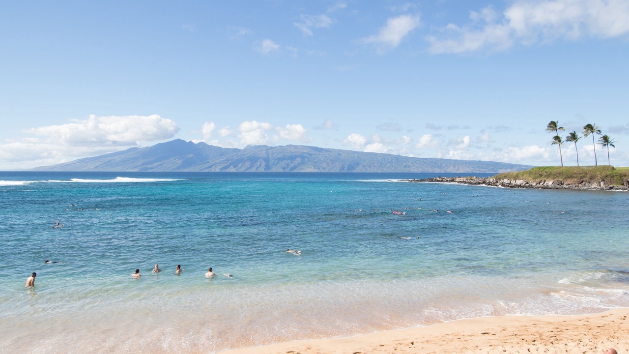Photo of Others in Kapalua