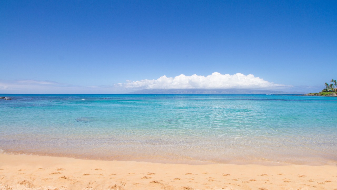 Photo of Others in Napili