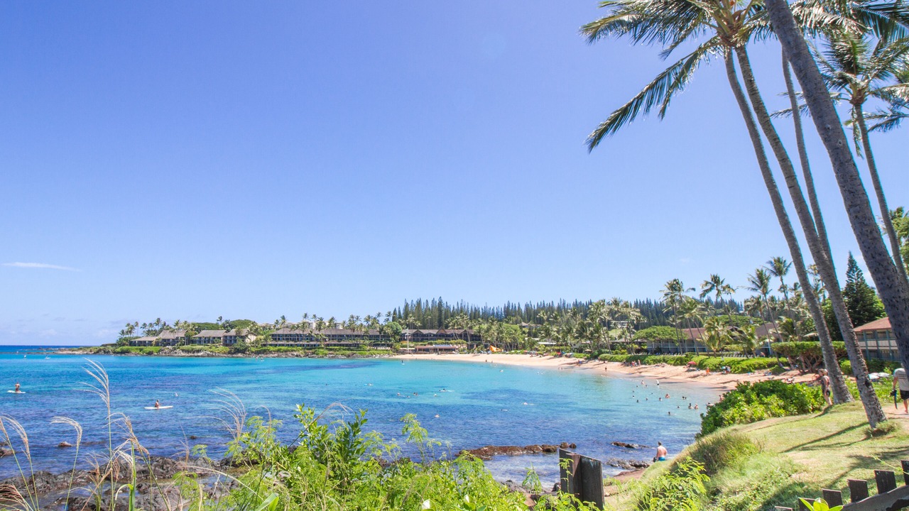 Photo of Others in Napili